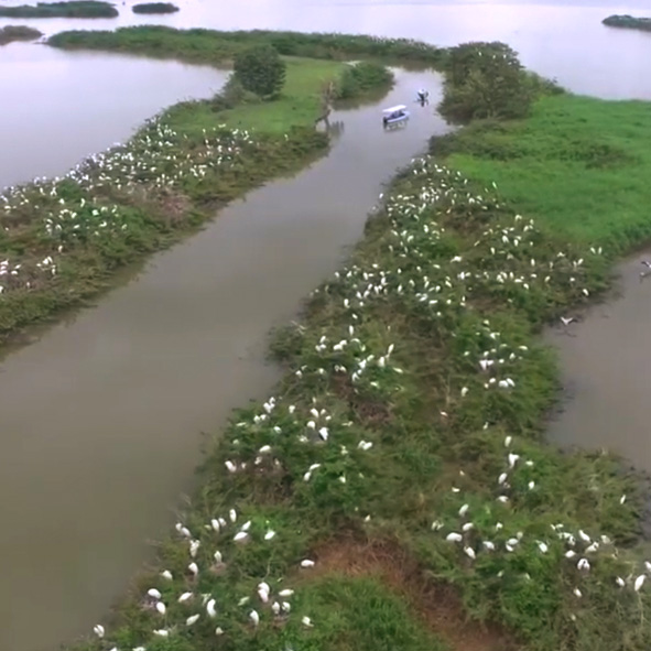 Lagunas de Catazaja